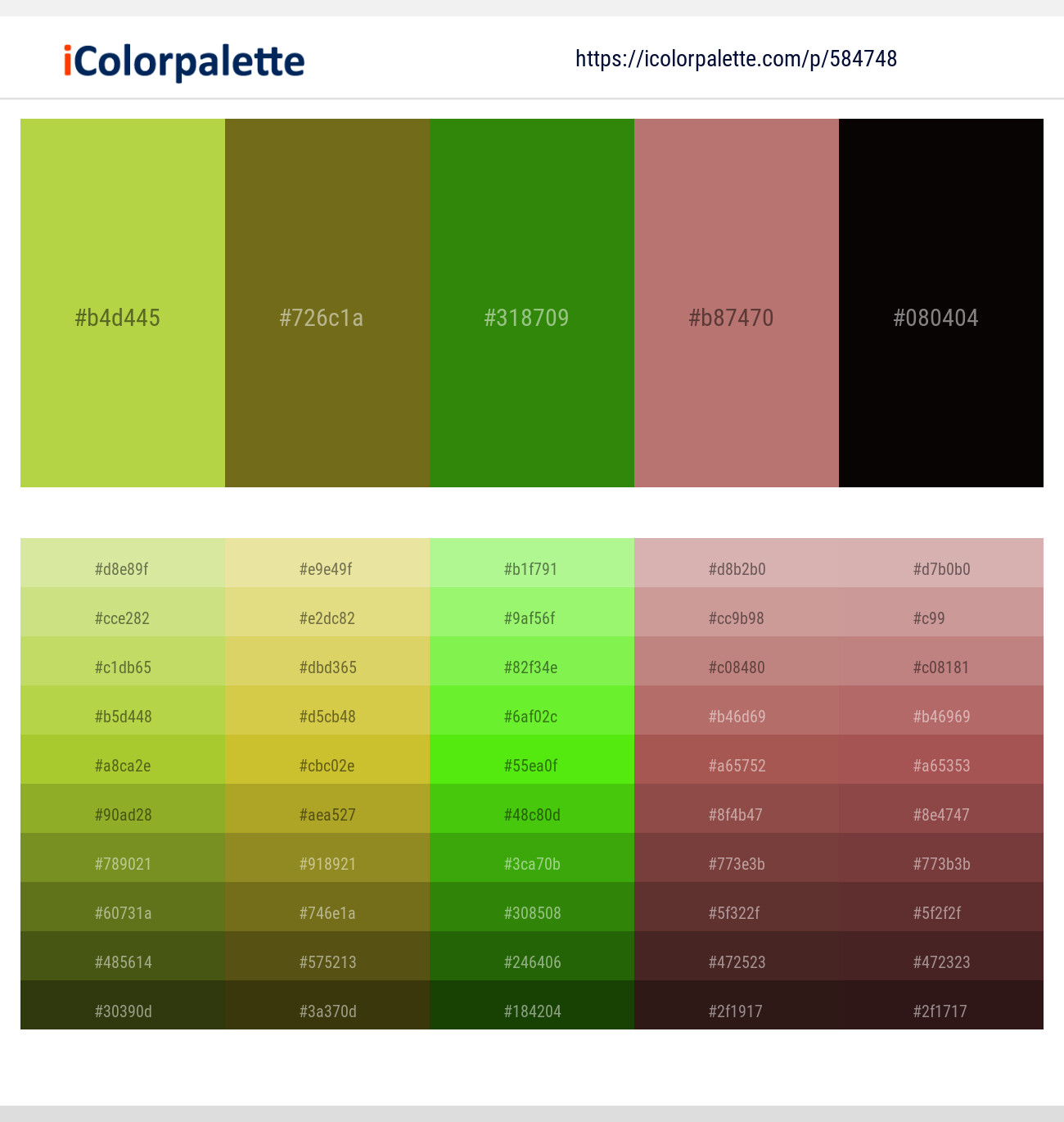 Conifer – Himalaya – Green Leaf – Turkish Rose – Night Rider Color scheme