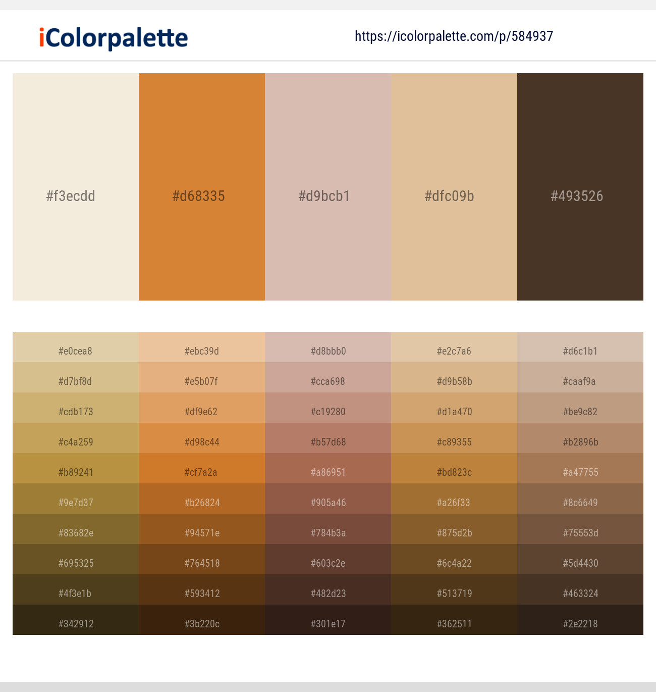 Merino – Brandy Punch – Clam Shell – Brandy – Saddle Color scheme