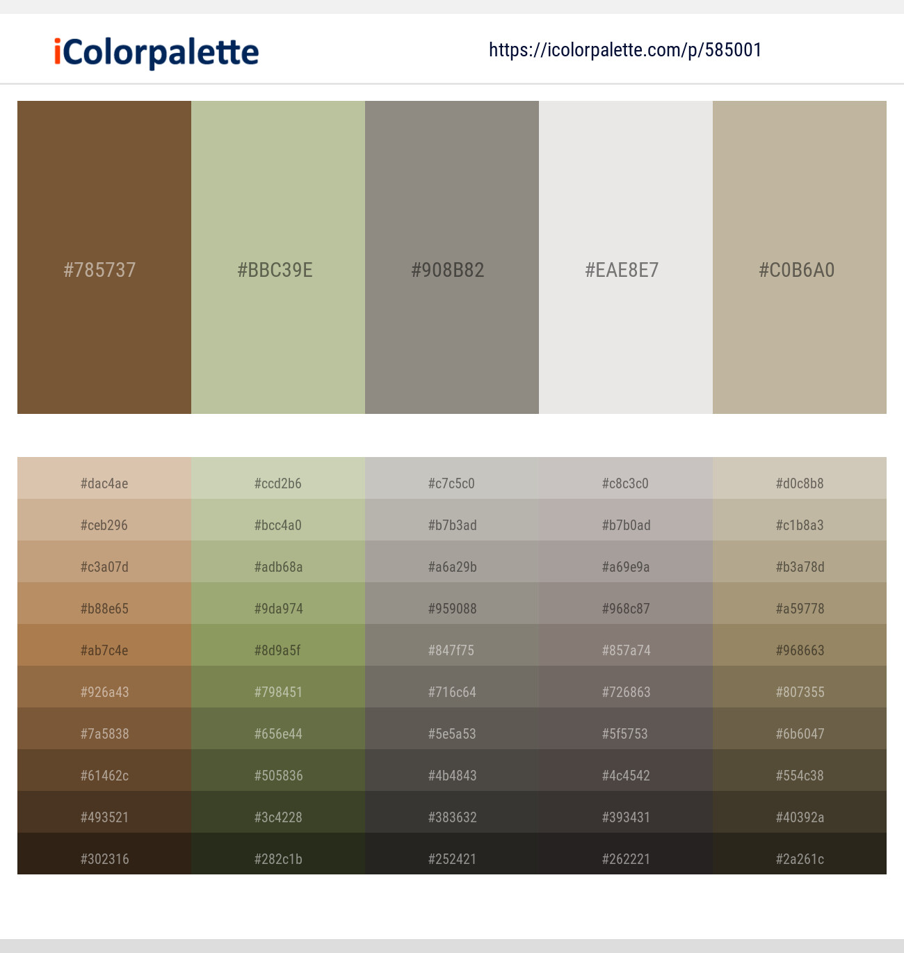 Shingle Fawn – Rainee – Natural Gray – Ebb – Bison Hide Color scheme