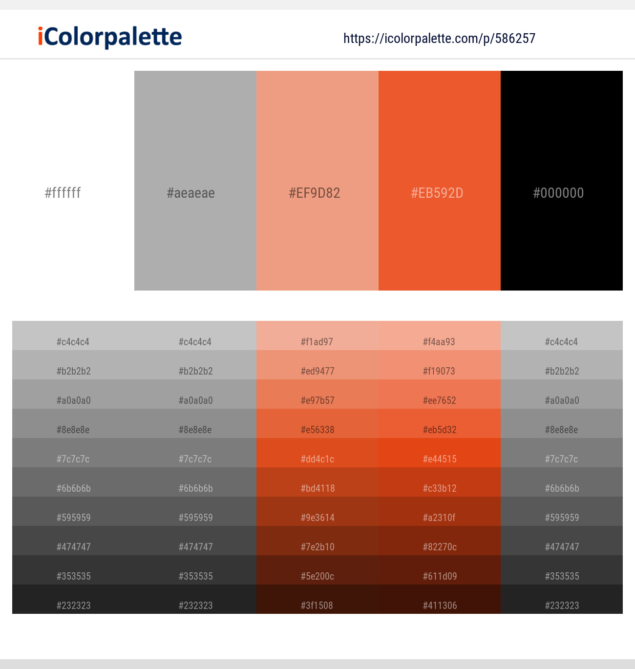 White – Silver Chalice – Apricot – Flamingo – Black Color scheme
