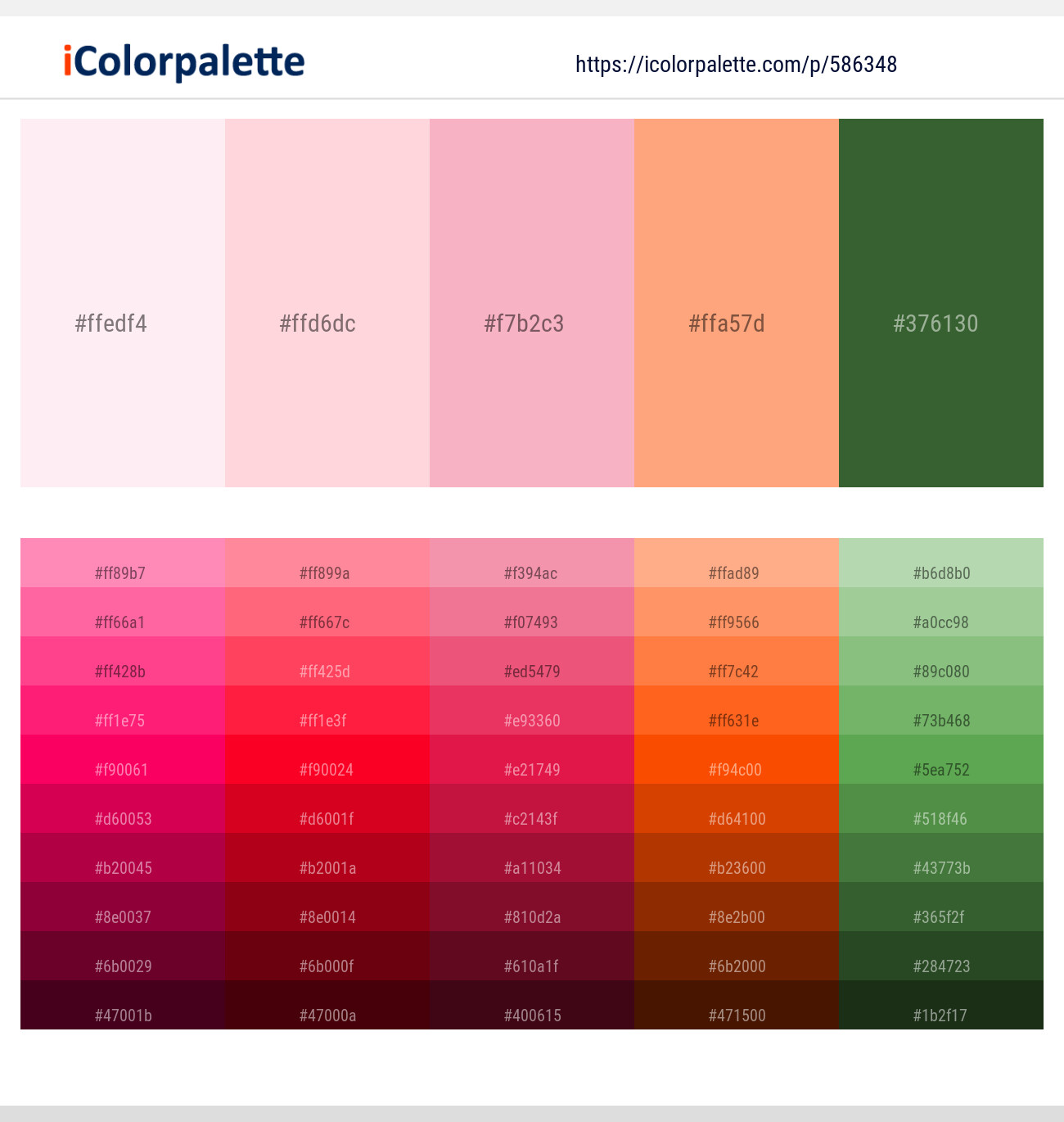 Lavender blush – Cosmos – Illusion – Hit Pink – Killarney Color scheme