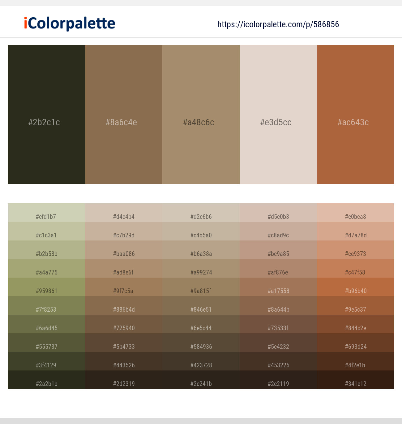 Rangitoto – Shadow – Sandal – Wafer – Brown Rust Color scheme