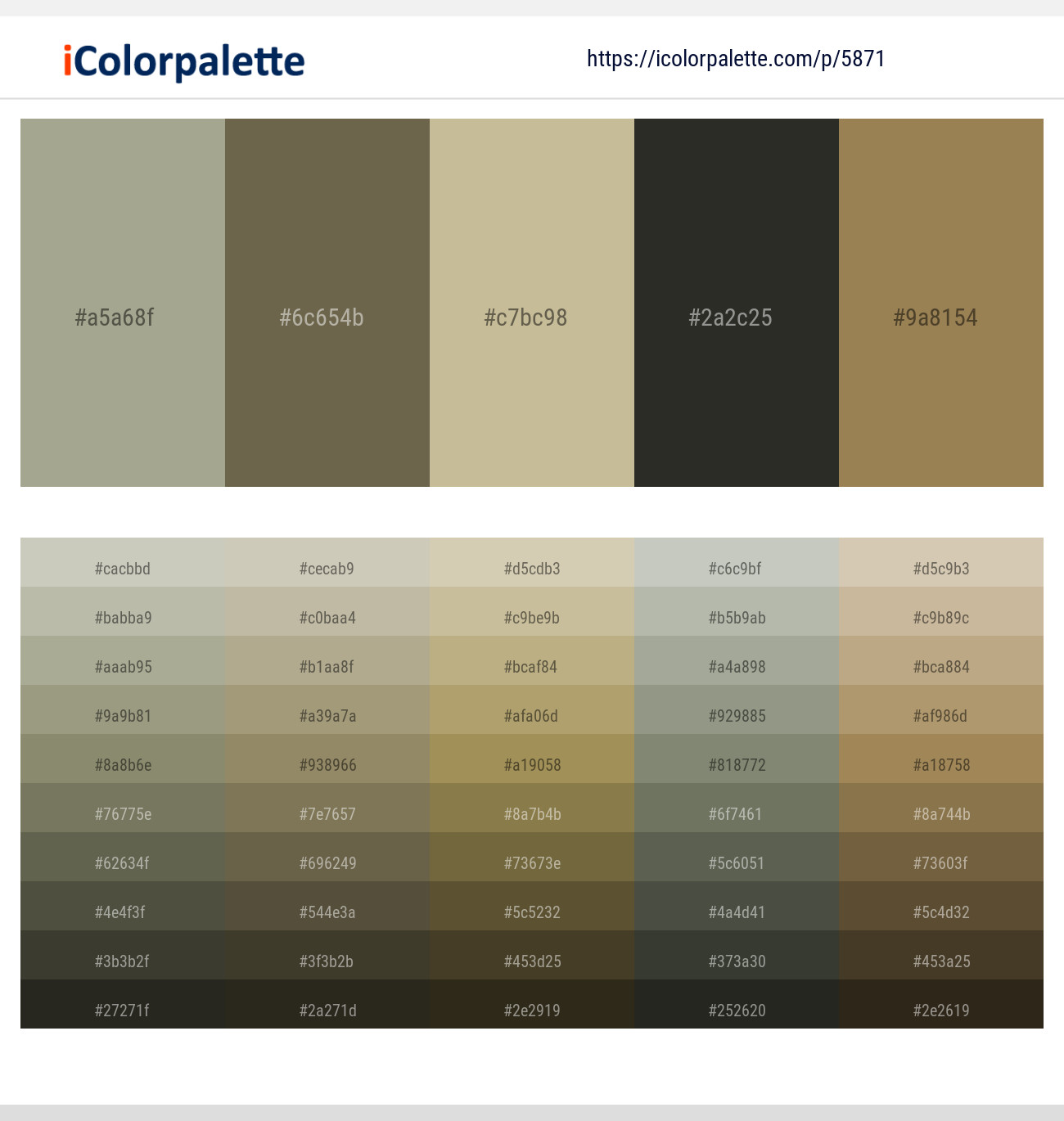 Gray Olive – Go Ben – Indian Khaki – Heavy Metal – Barley Corn Color scheme