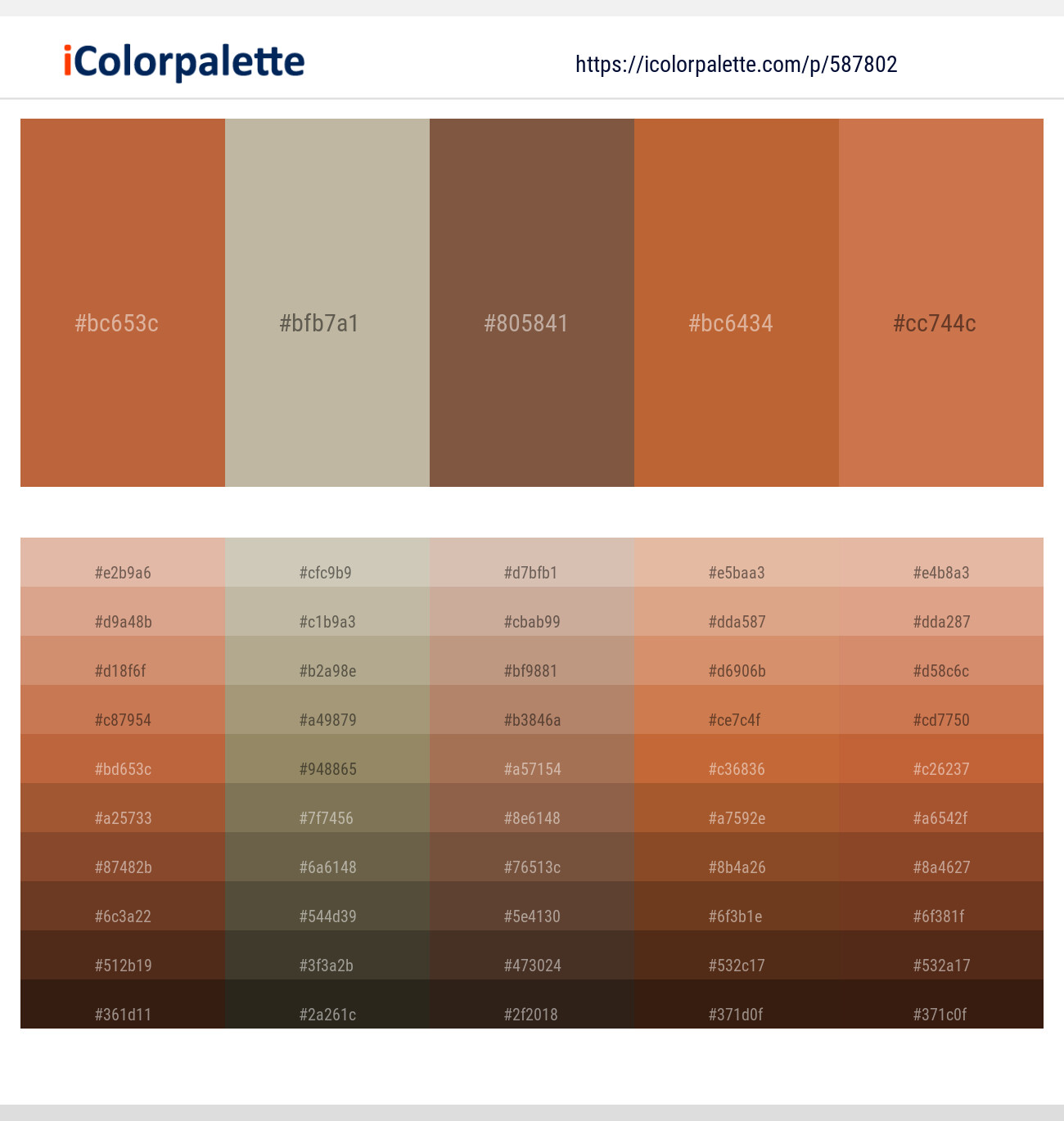 Brown Rust – Bison Hide – Spicy Mix – Copper – Raw Sienna Color scheme