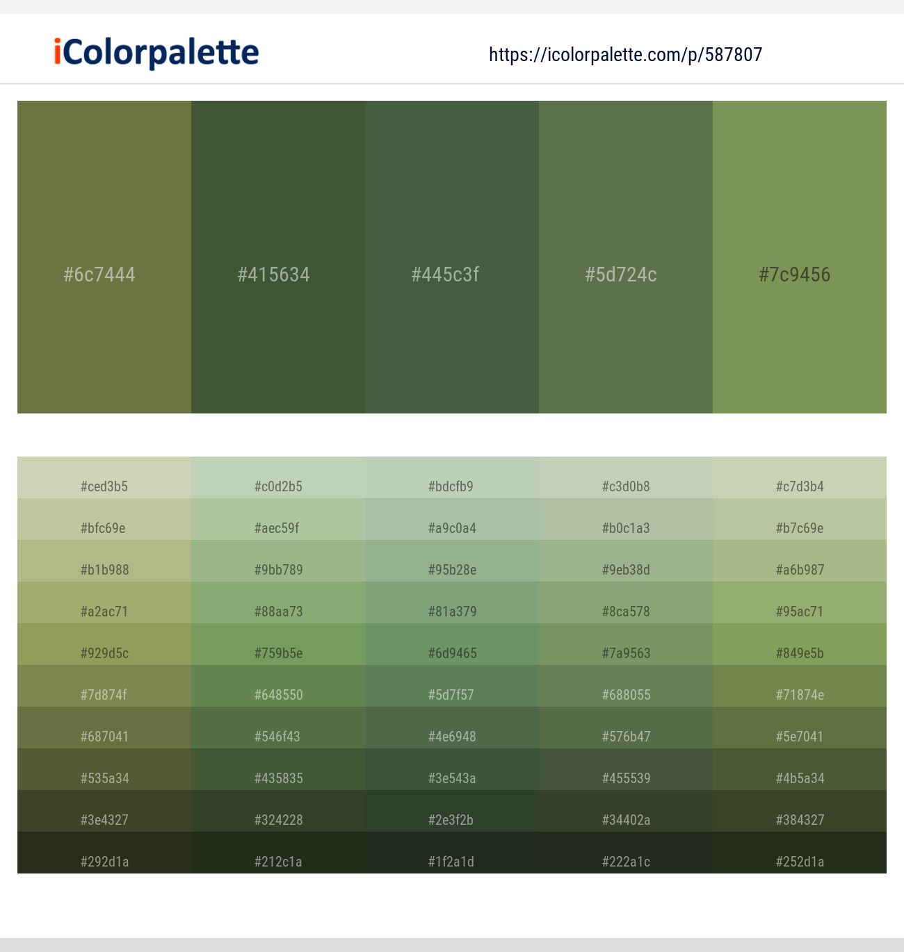 Dingley – Tom Thumb – Tom Thumb – Dingley – Asparagus Color scheme