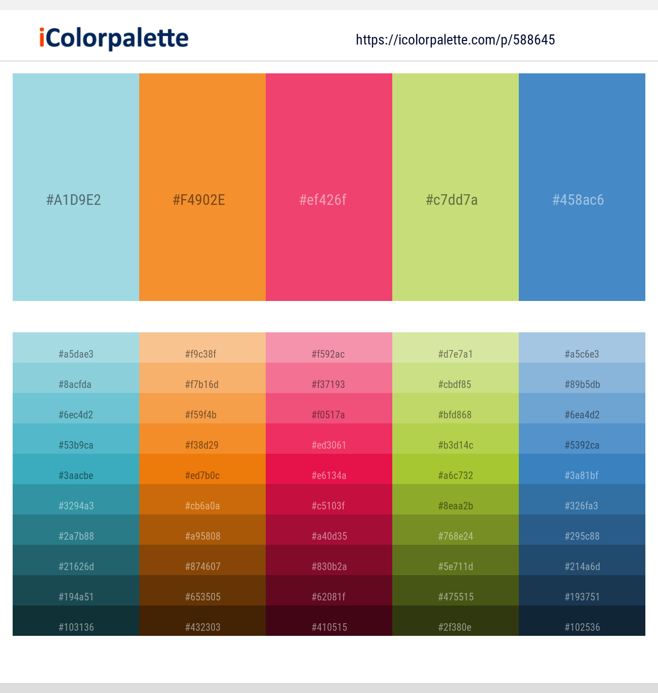 Morning Glory – Carrot Orange – French Rose – Yellow Green – Boston Blue Color scheme