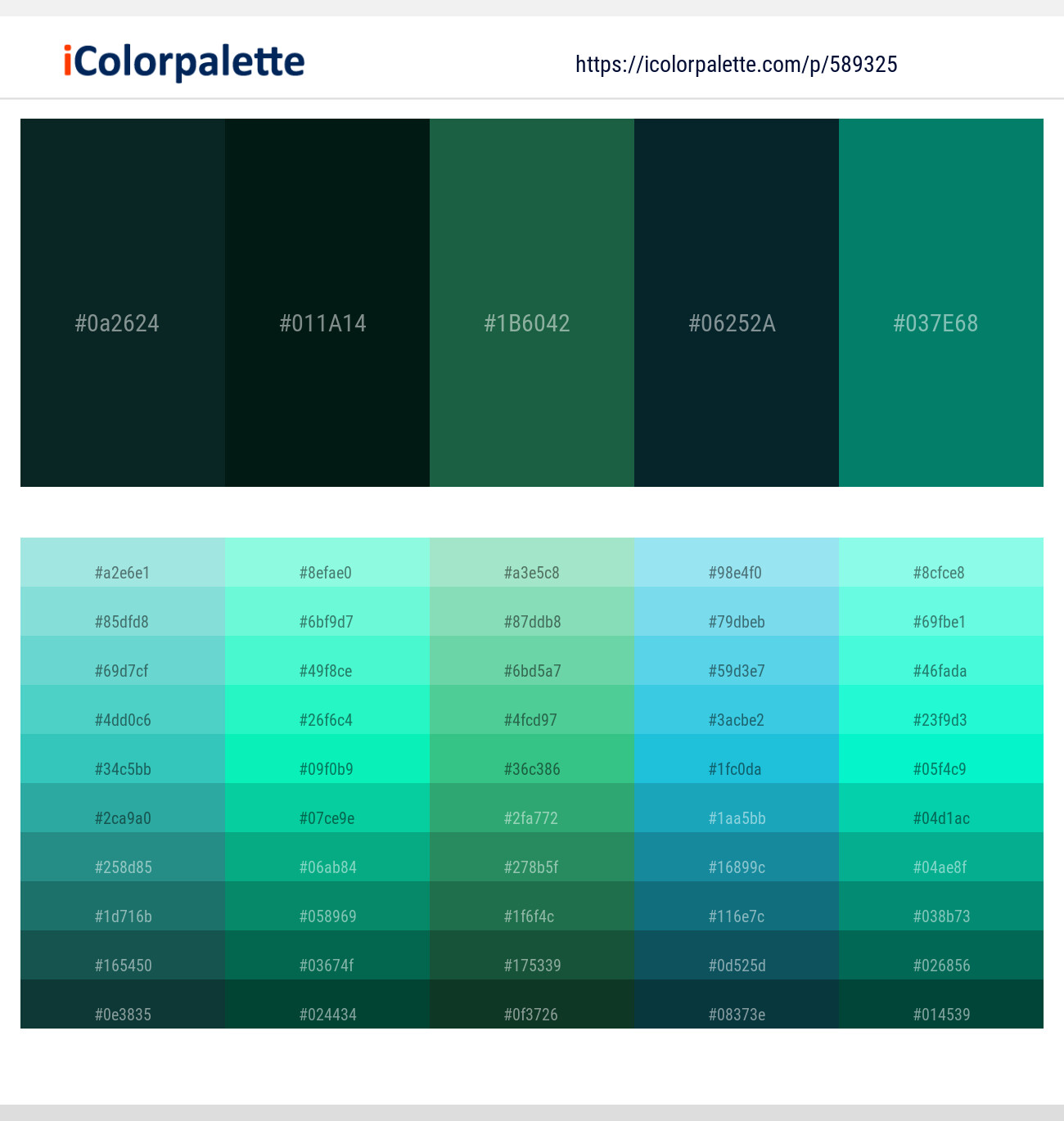 Firefly – Holly – Green Pea – Tiber – Deep Sea Color scheme