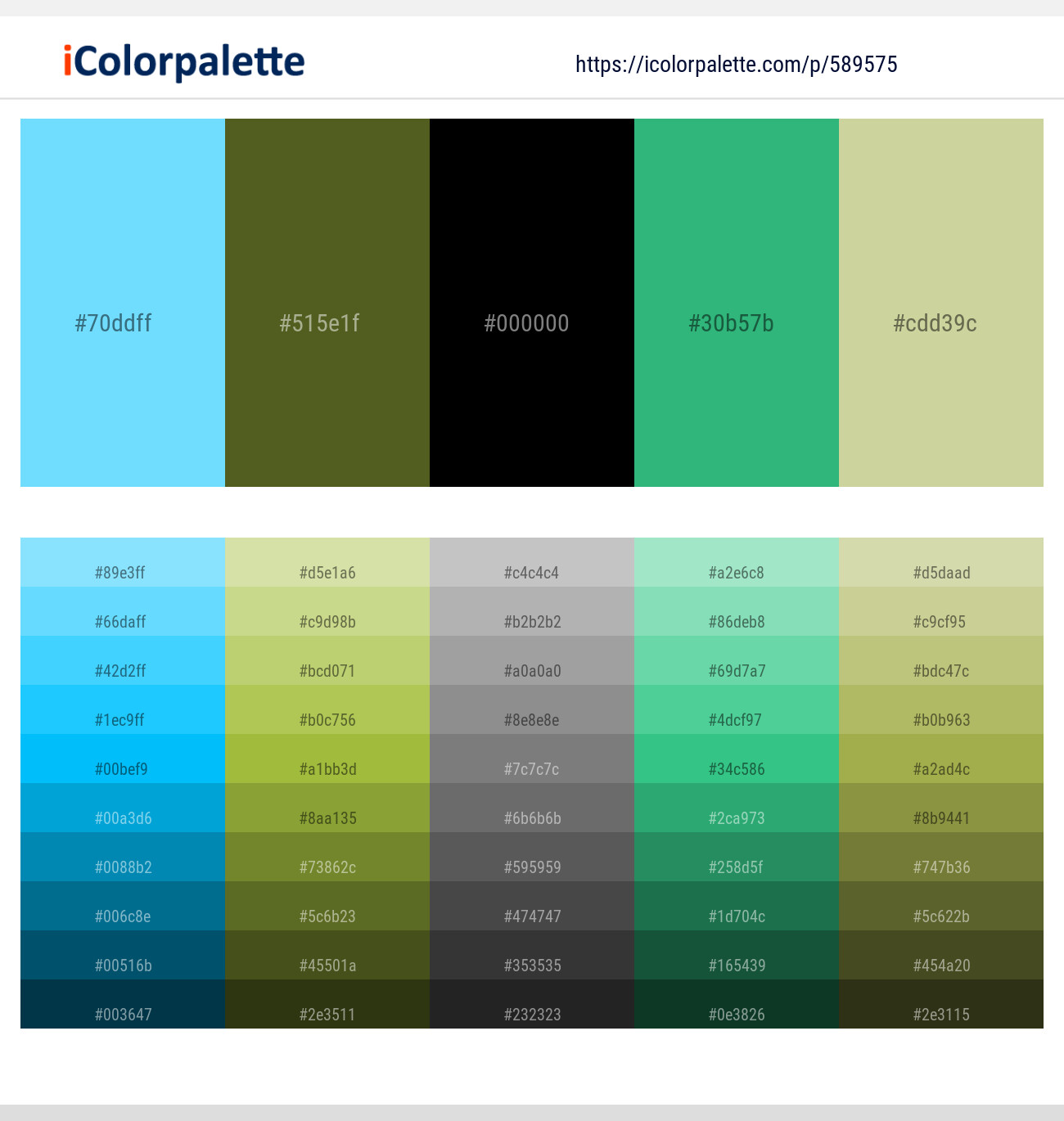 Malibu – Fern Frond – Black – Jungle Green – Pine Glade Color scheme