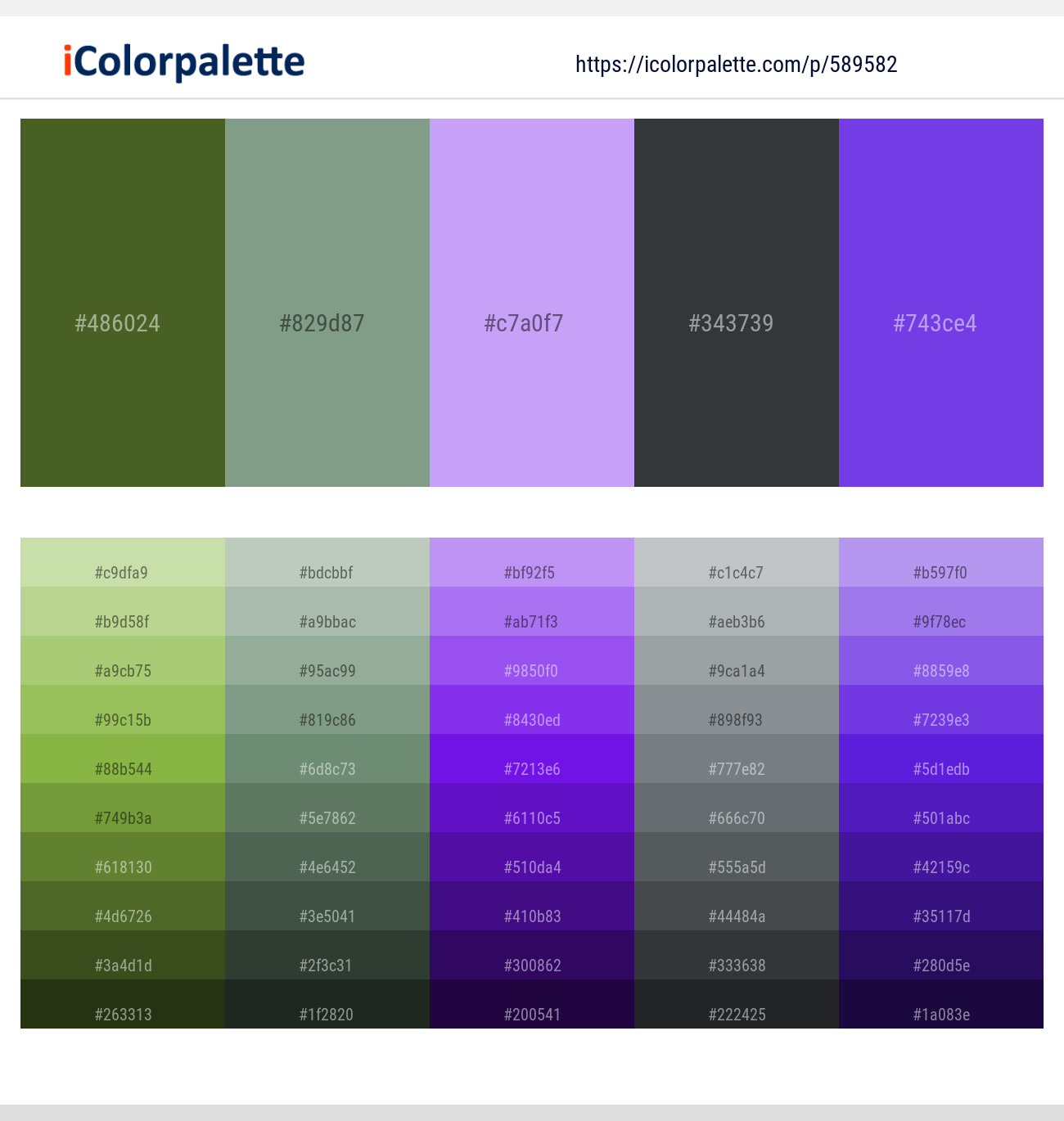 Woodland – Spanish Green – Perfume – Outer Space – Purple Heart Color scheme