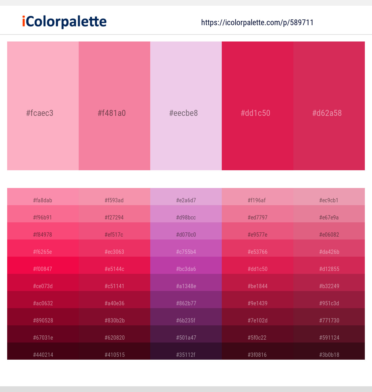 Carnation Pink – Tickle Me Pink – French Lilac – Amaranth – Cerise Red Color scheme