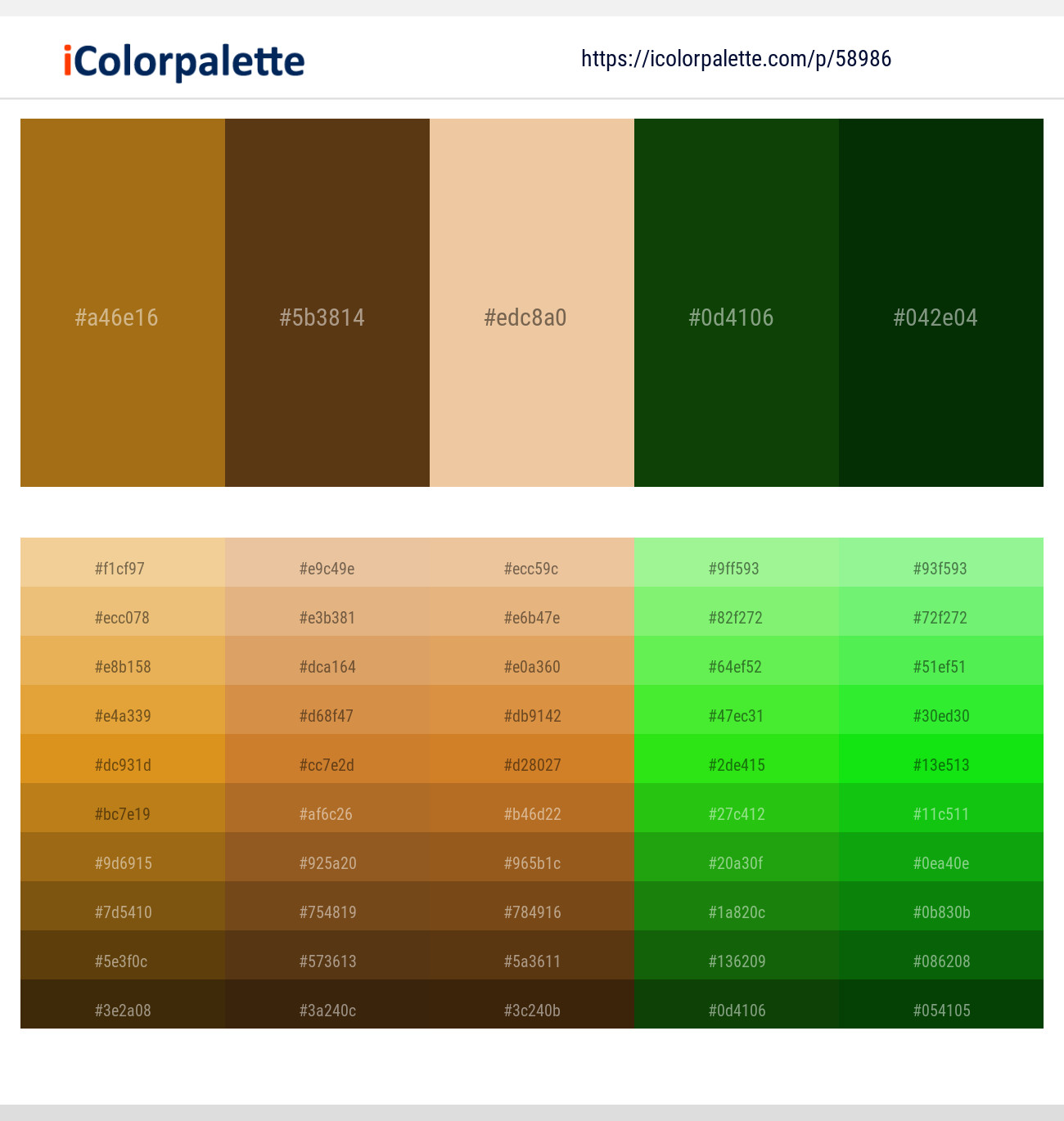 Reno Sand – Jambalaya – Pancho – Dark Fern – English Holly Color scheme