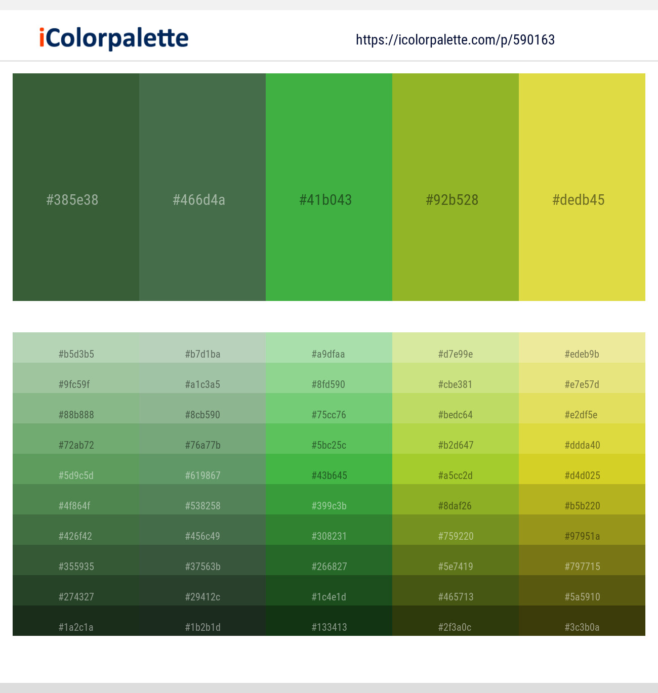 Tom Thumb – Killarney – Apple – Citron – Wattle Color scheme