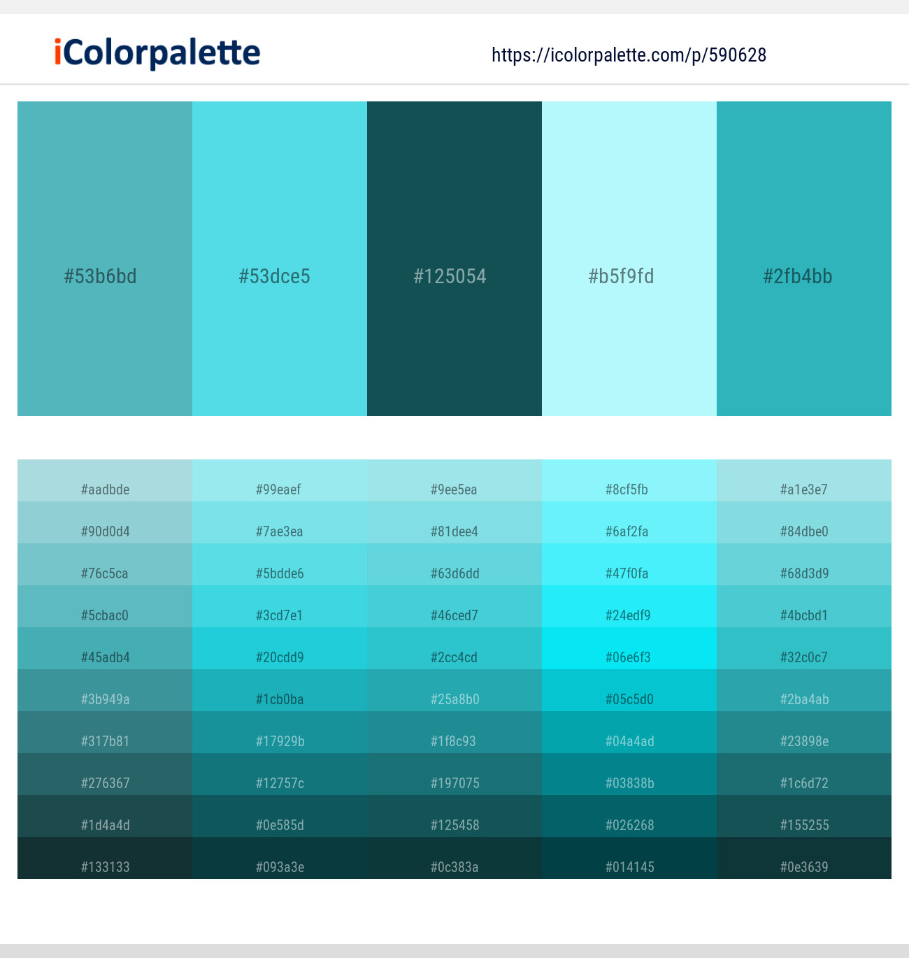 Fountain Blue – Turquoise Blue – Eden – Charlotte – Pelorous Color scheme