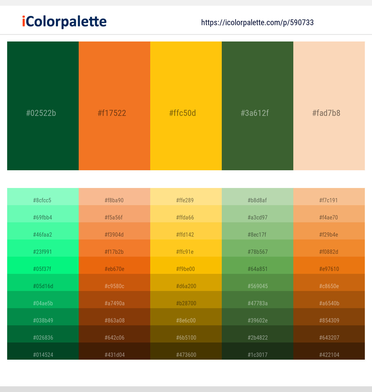 Kaitoke Green – Tango – Supernova – Tom Thumb – Apricot Peach Color scheme