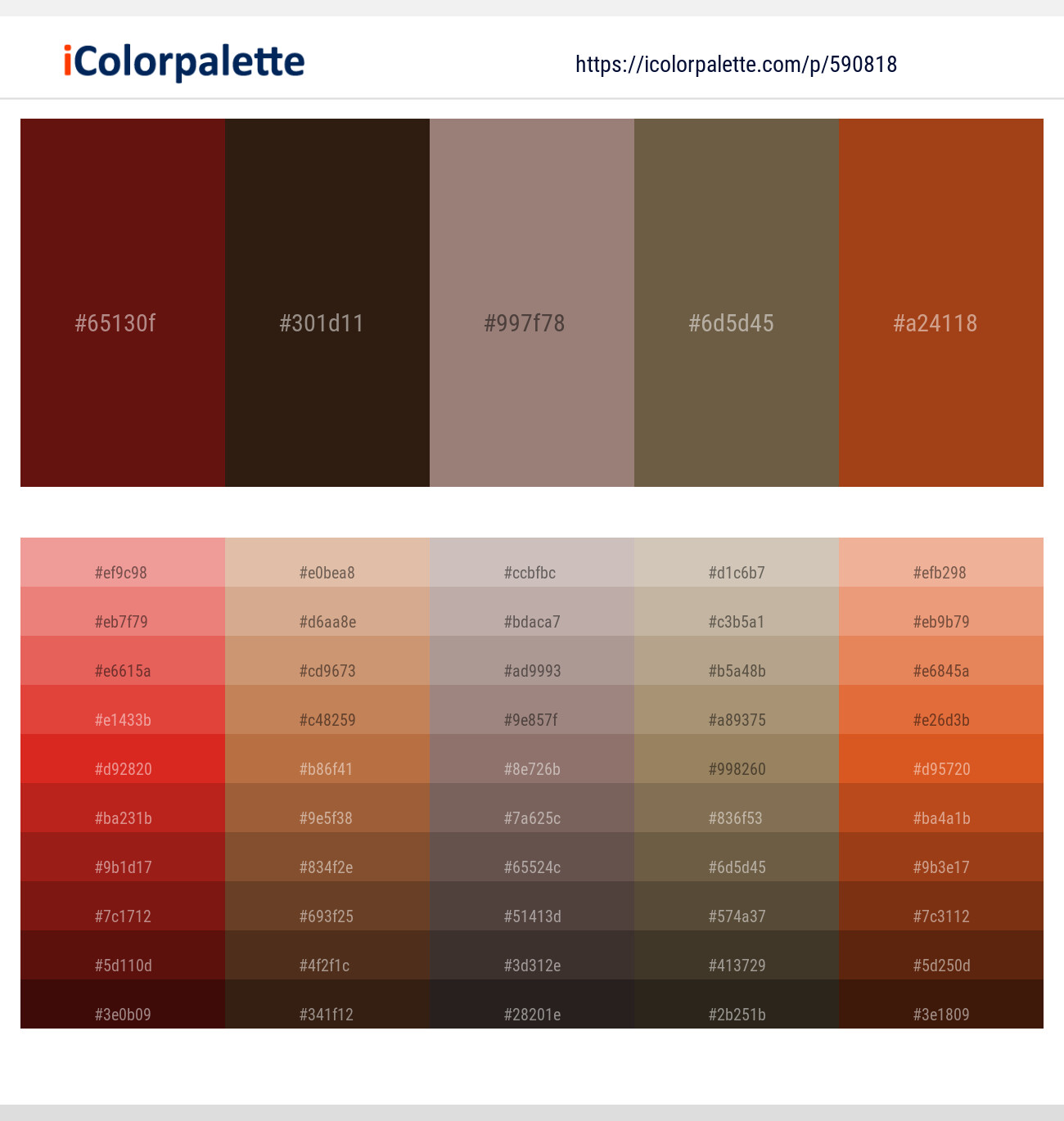Dark Tan – Sambuca – Pharlap – Tobacco Brown – Cognac Color scheme