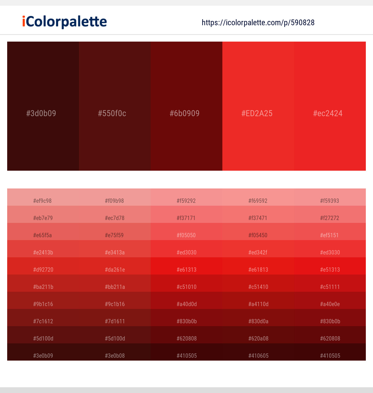Rebel – Dark Tan – Dark Tan – Pomegranate – Cinnabar Color scheme