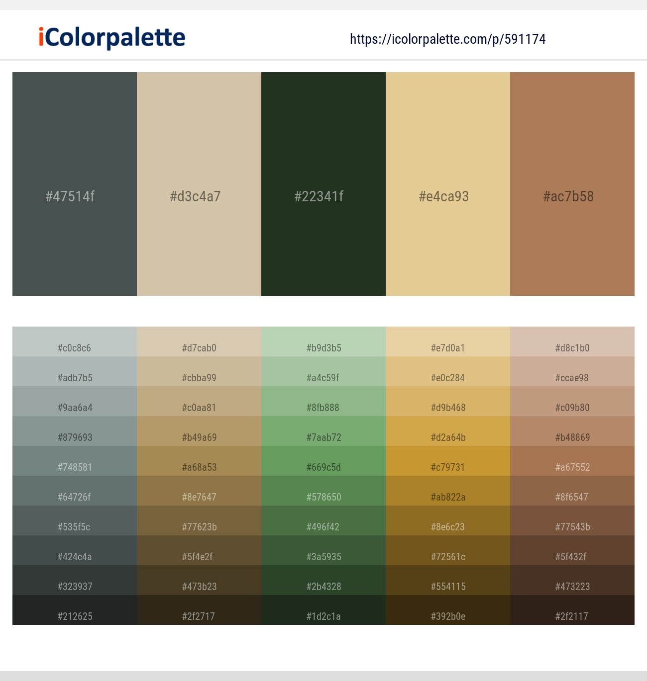 Cape Cod – Akaroa – Green Kelp – Putty – Driftwood Color scheme