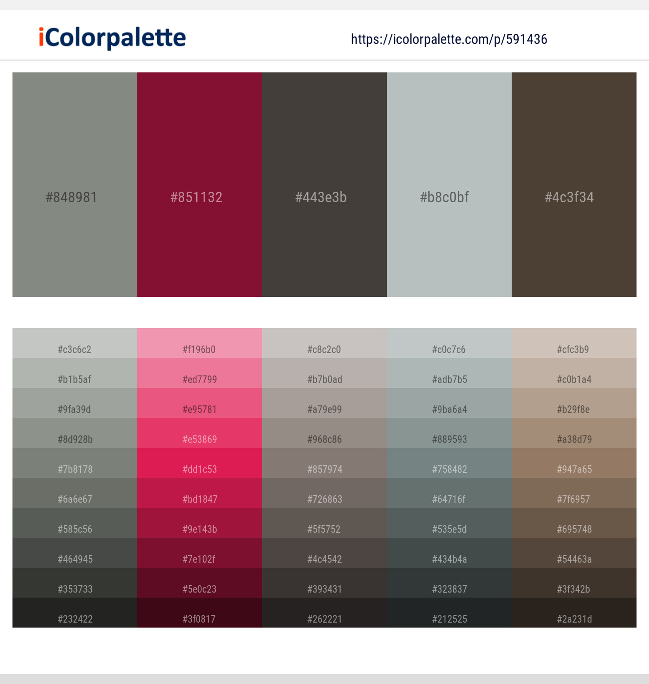 Battleship Gray – Claret – Masala – Opal – Taupe Color scheme