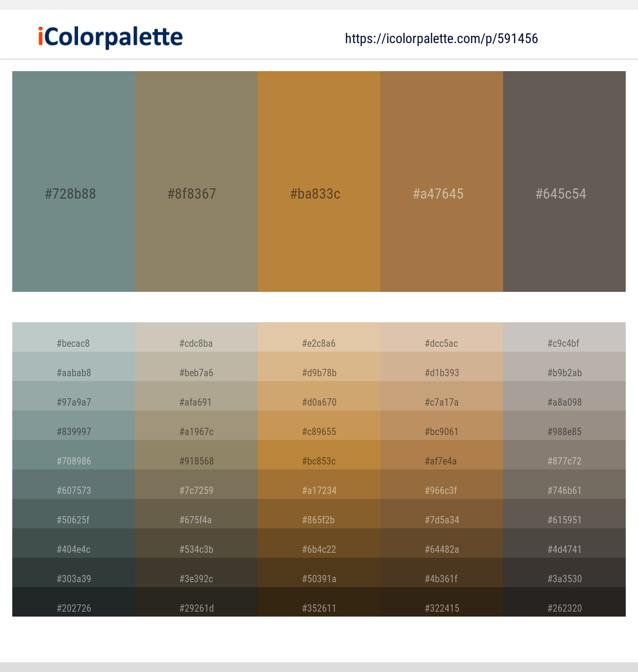 Juniper – Olive Haze – Copper – Cape Palliser – Soya Bean Color scheme