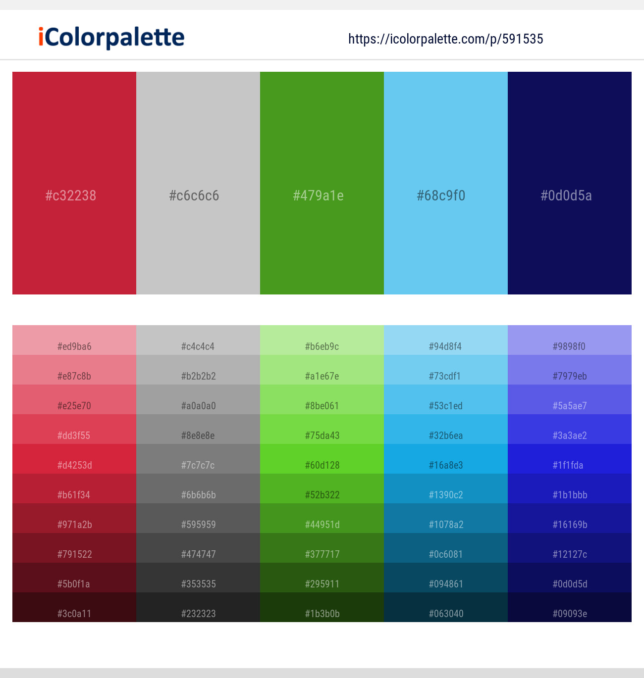 Cardinal – Silver – Vida Loca – Sky Blue – Arapawa Color scheme