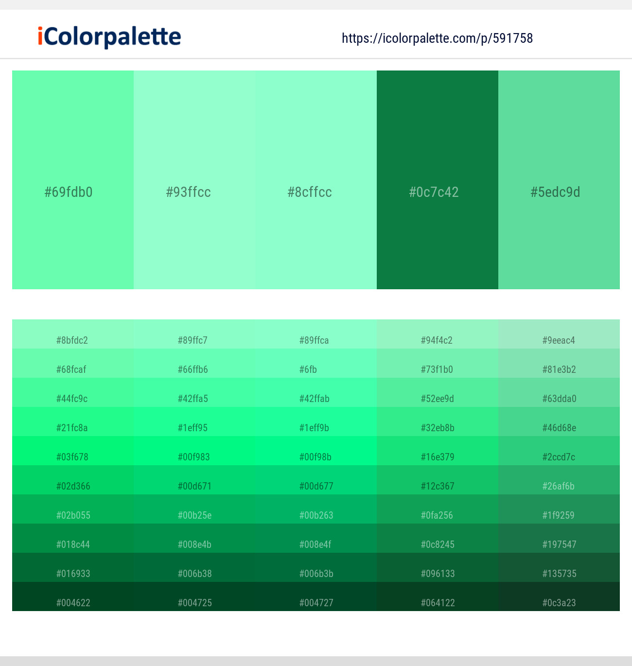 Aquamarine – Aquamarine – Aquamarine – Salem – Emerald Color scheme