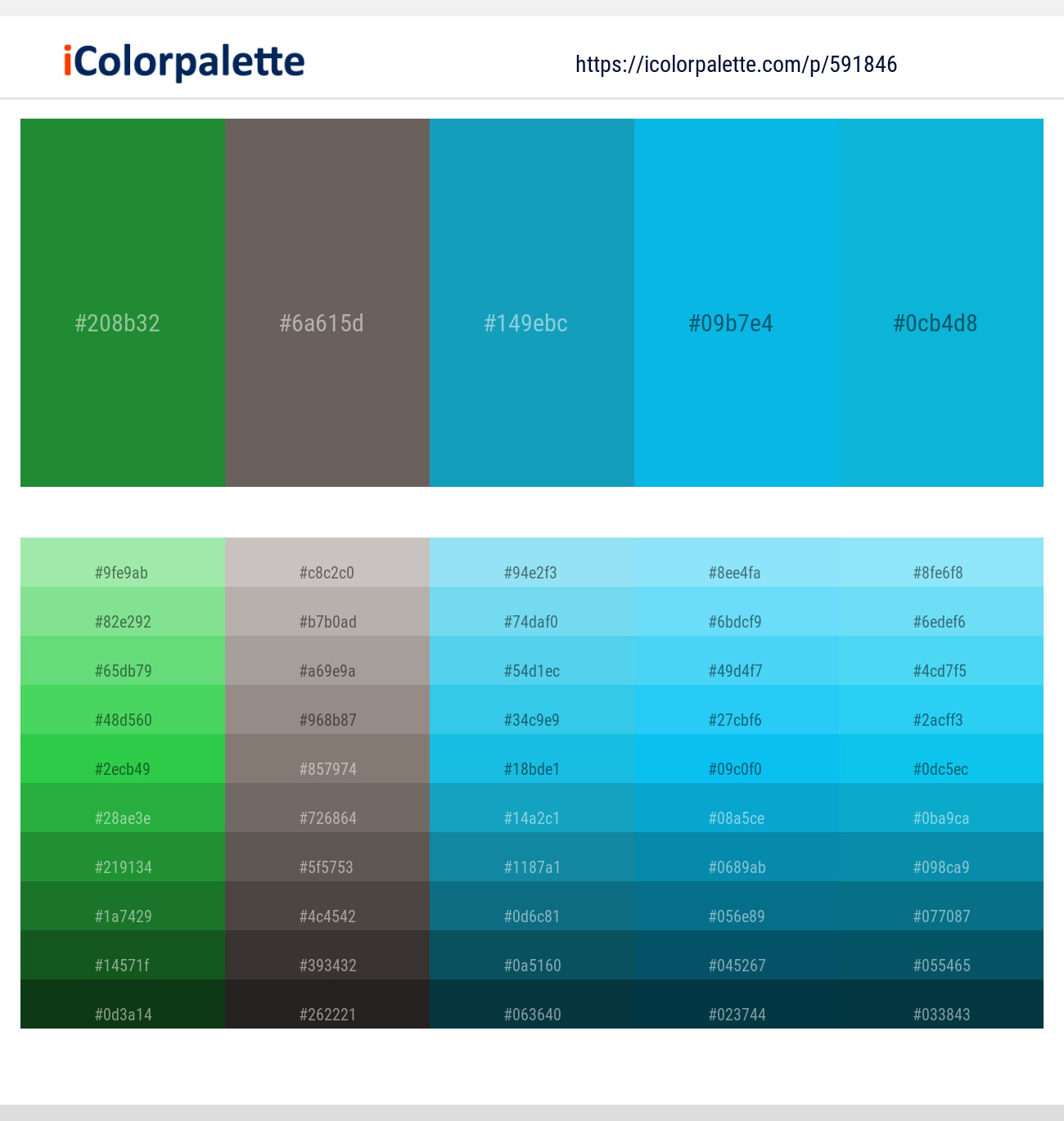 Forest Green – Pine Cone – Eastern Blue – Cerulean – Cerulean Color scheme