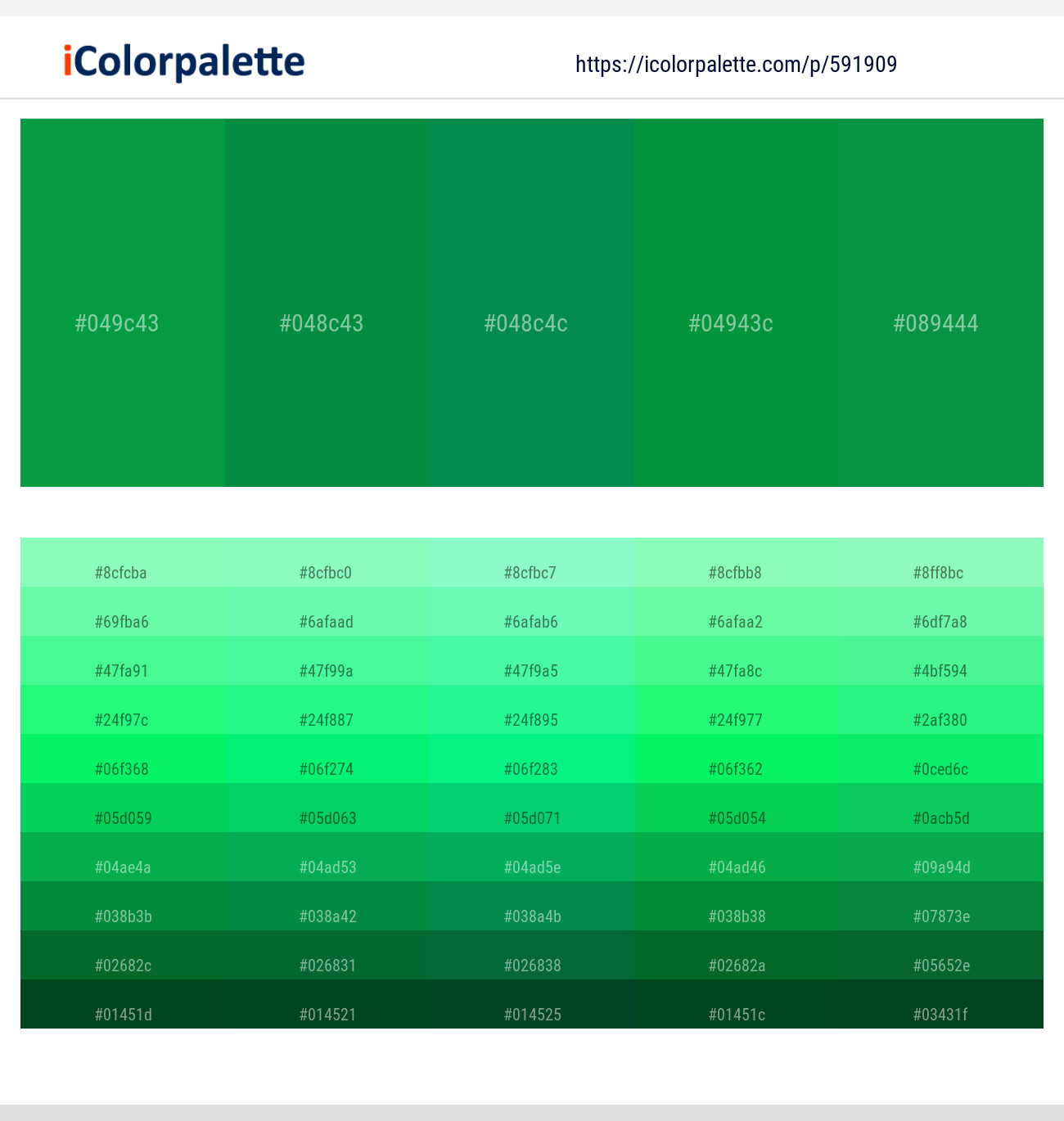 Salem – Salem – Salem – Salem – Salem Color scheme