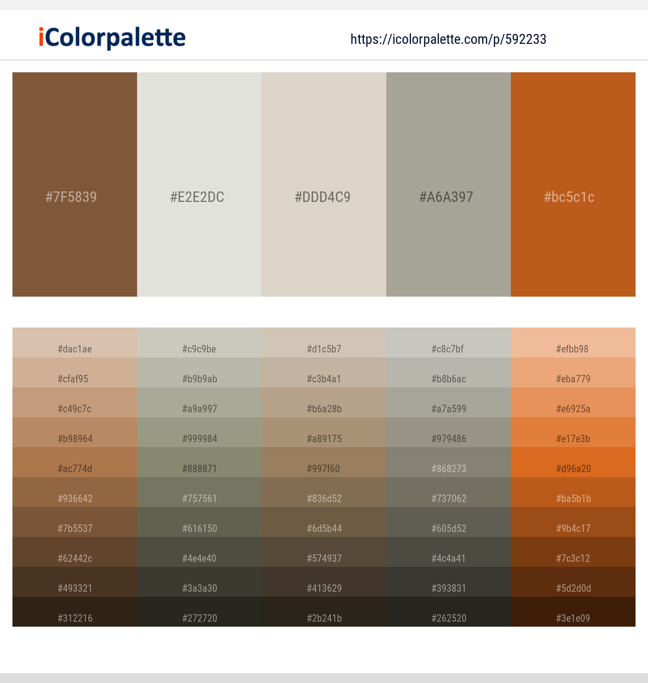 Potters Clay – Quill Gray – Swirl – Gray Olive – Orange Roughy Color scheme