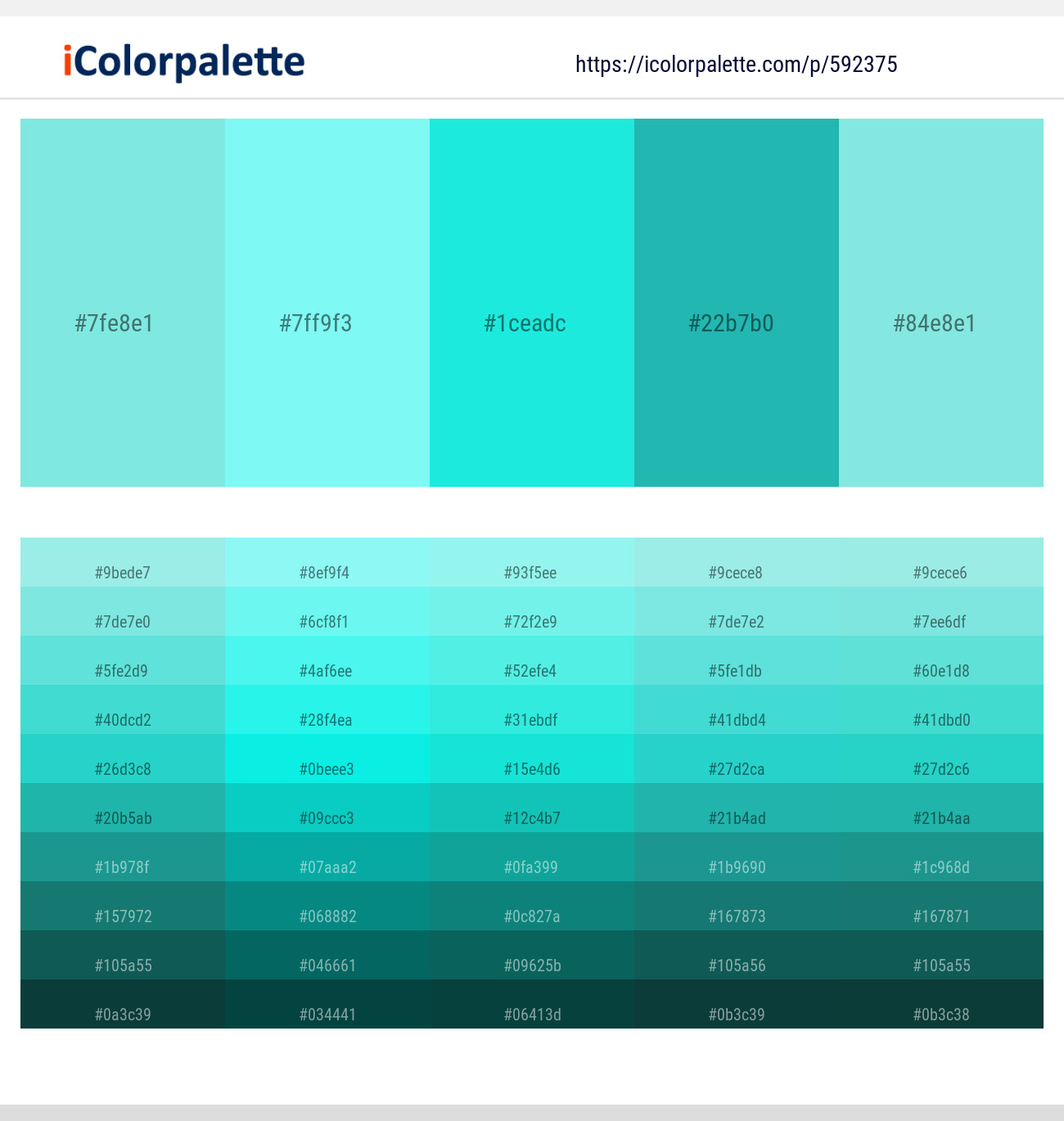 660+ Latest Color Schemes with Java Color tone combinations | 2025 ...