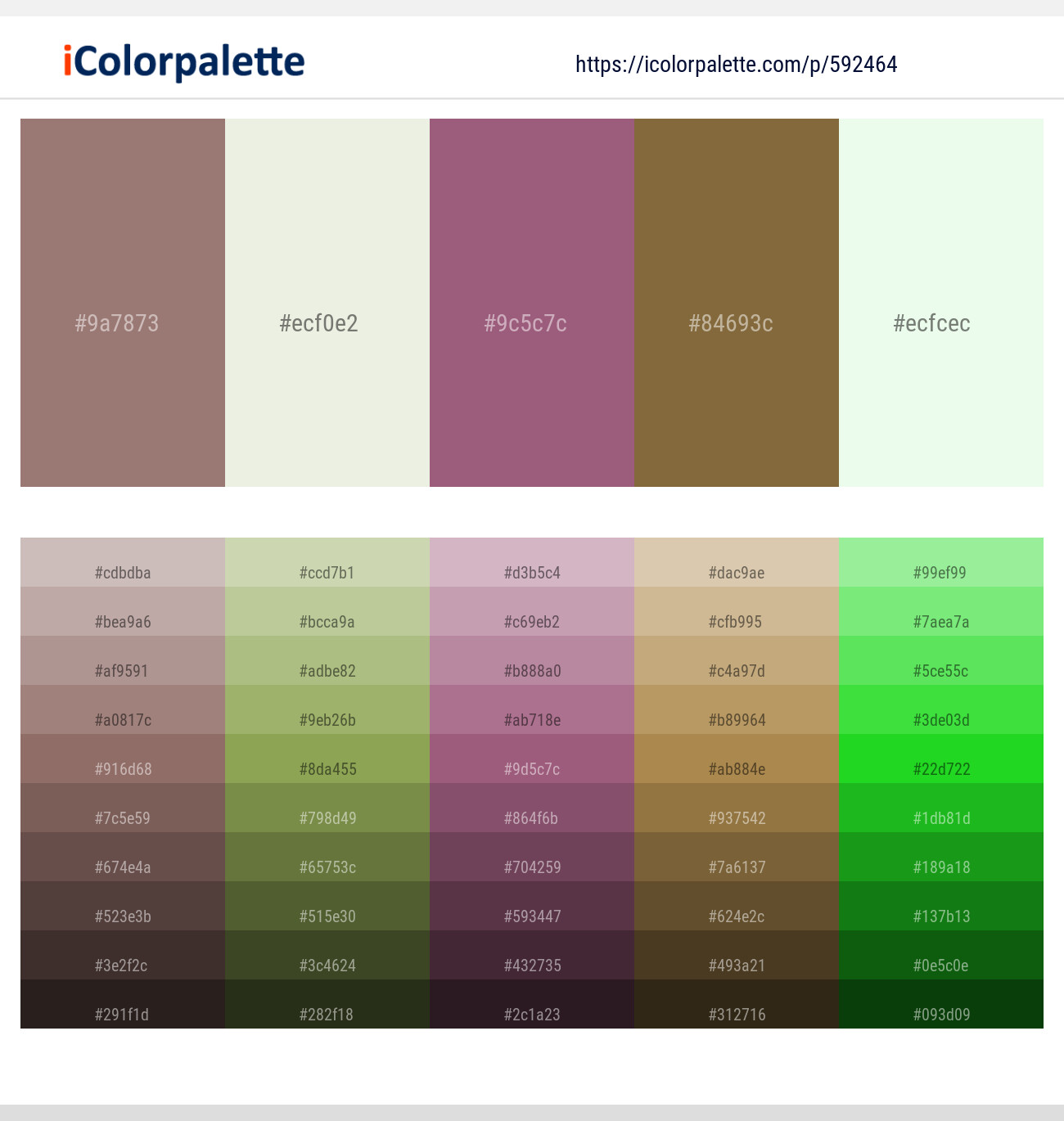 Bazaar – Kidnapper – Strikemaster – Yellow Metal – Feta Color scheme