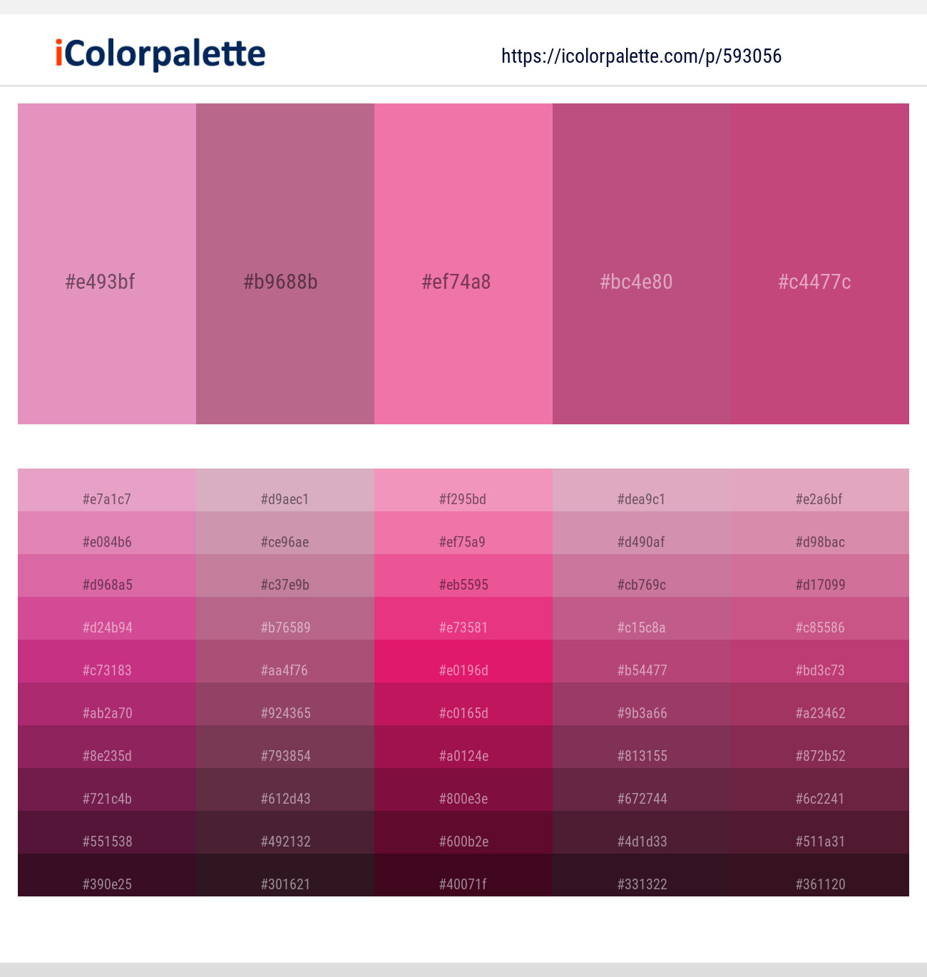 Shocking – Tapestry – Carissma – Mulberry – Mulberry Color scheme