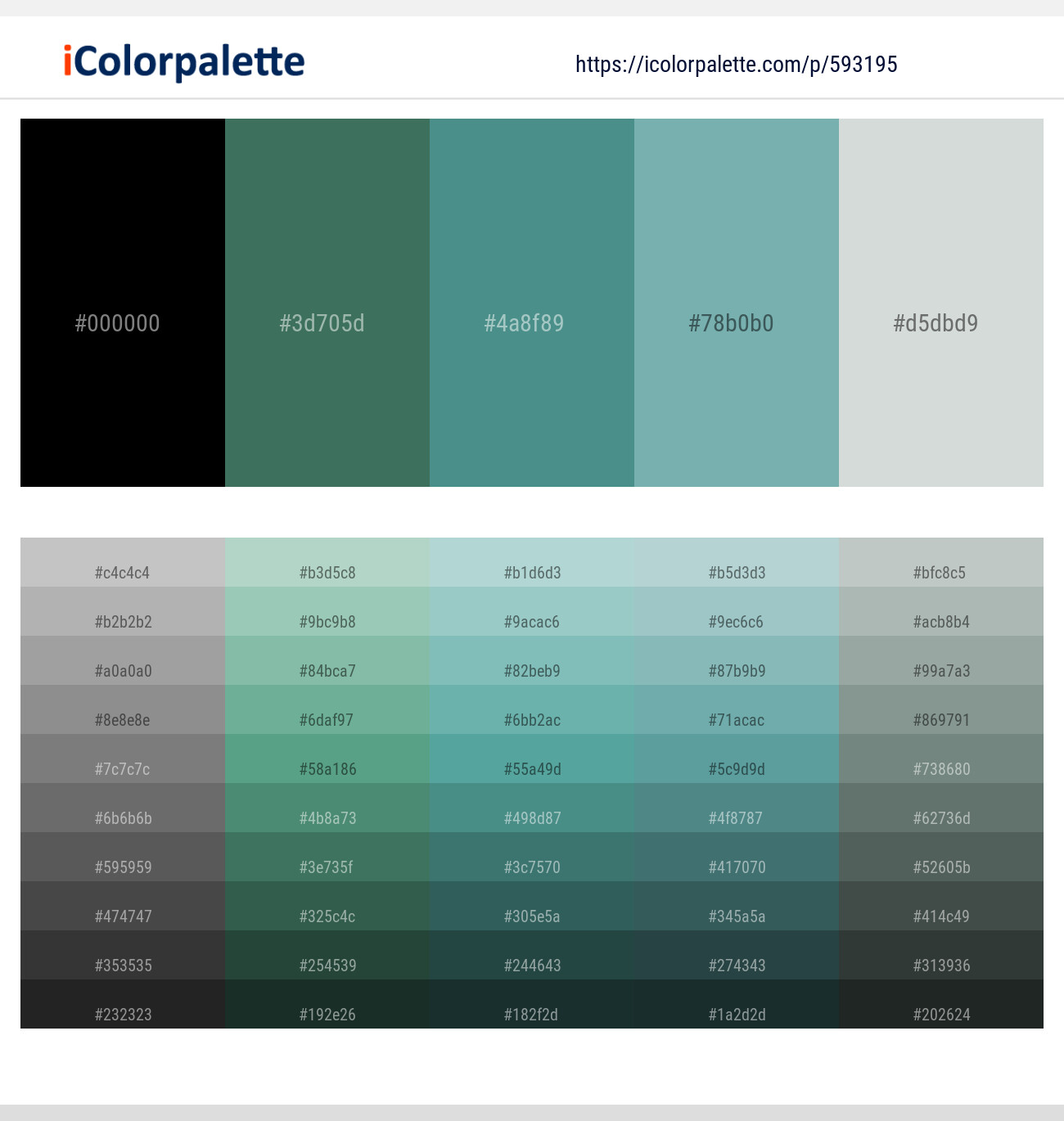 Black – Amazon – Smalt Blue – Gulf Stream – Conch Color scheme
