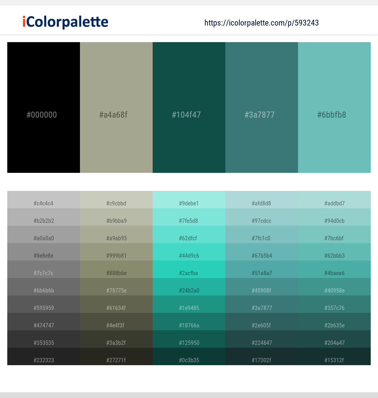 Black – Sage – Eden – Oracle – Tradewind Color scheme