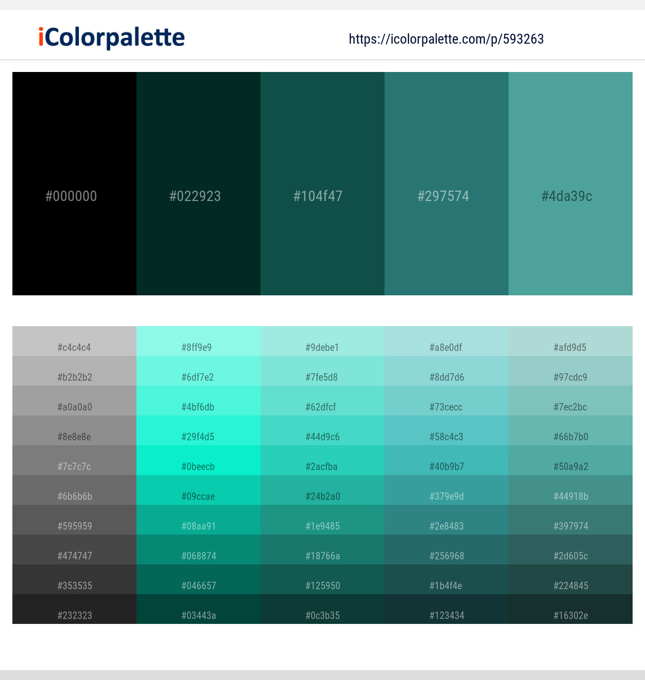 Black – Holly – Eden – Paradiso – Hippie Blue Color scheme
