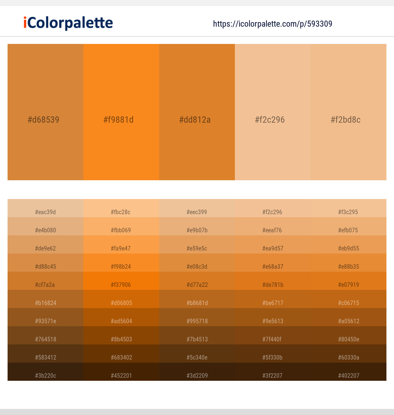 Raw Sienna – Ecstasy – Brandy Punch – Manhattan – Tacao Color scheme
