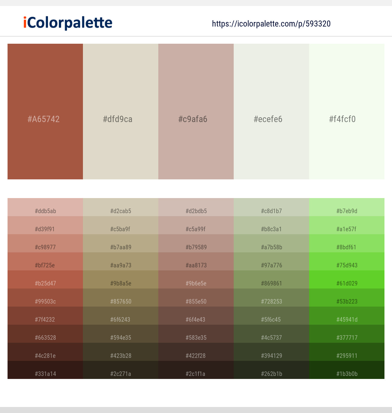 593320Sepia Skin – Westar – Clam Shell – Green White – Feta Color scheme