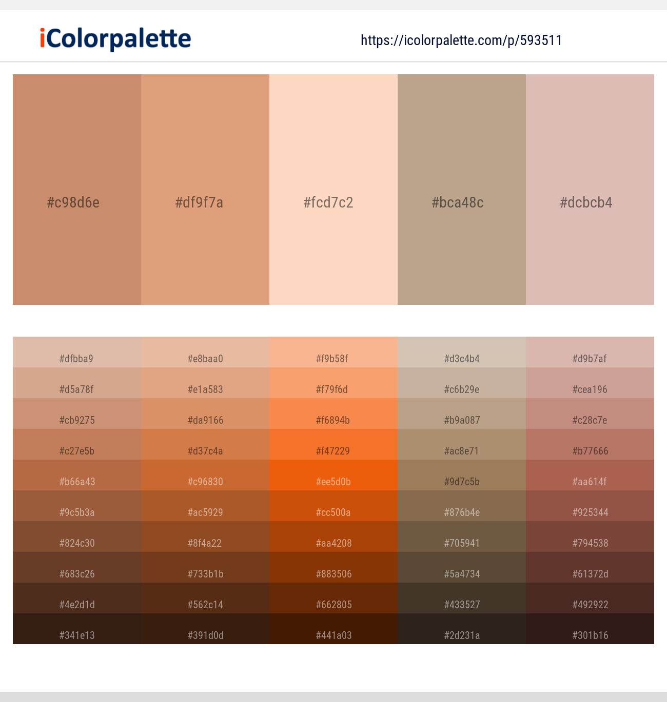 Antique Brass – Tumbleweed – Apricot Peach – Indian Khaki – Cavern Pink Color scheme