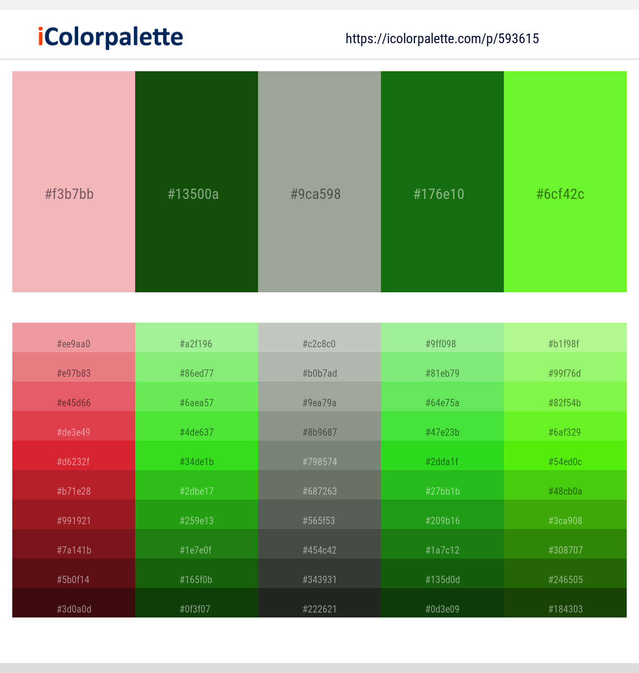 593615Mandys Pink – Dark Fern – Bud – Bilbao – Bright Green Color scheme