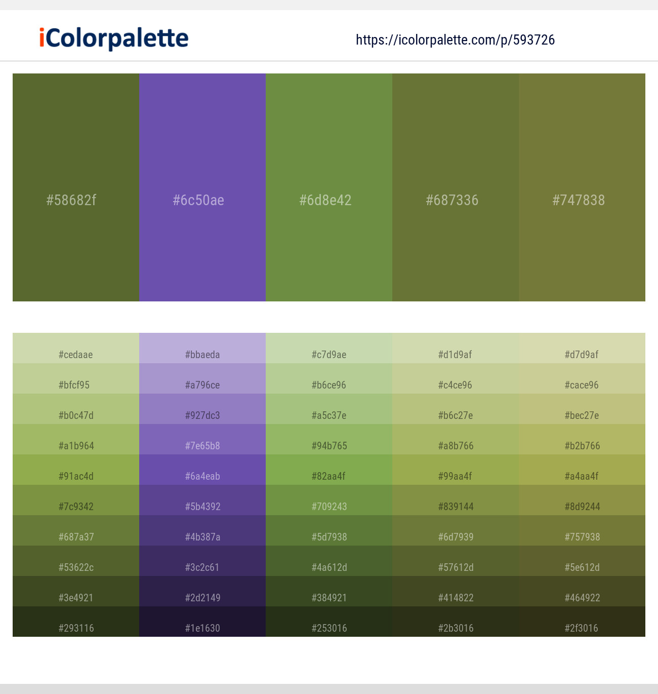 Costa Del Sol – Studio – Fern Green – Yellow Metal – Pesto Color scheme