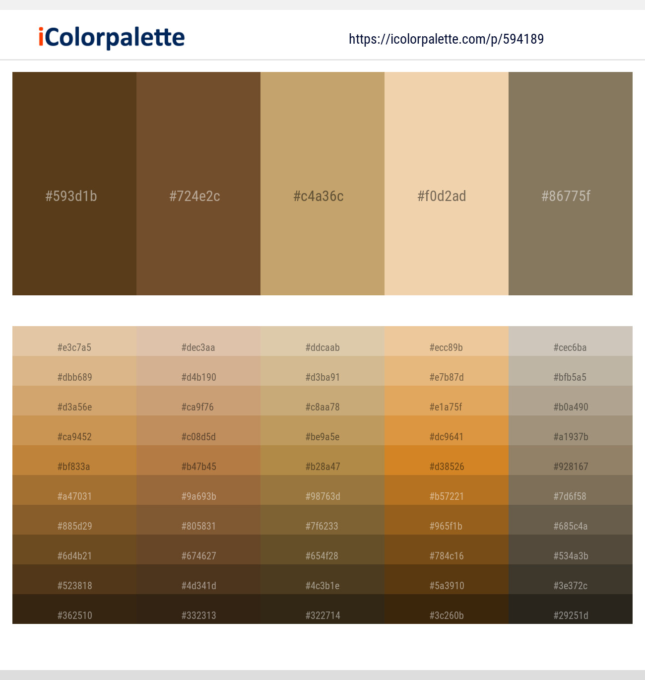 594189Punga – Old Copper – Laser – Pancho – Cement Color scheme