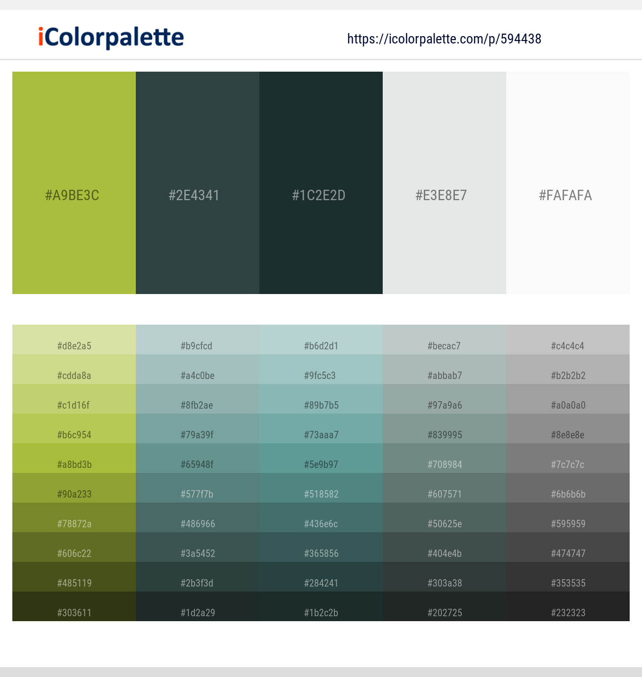 402+ Timber Green Color Palettes & Gradient Ideas | iColorPalette