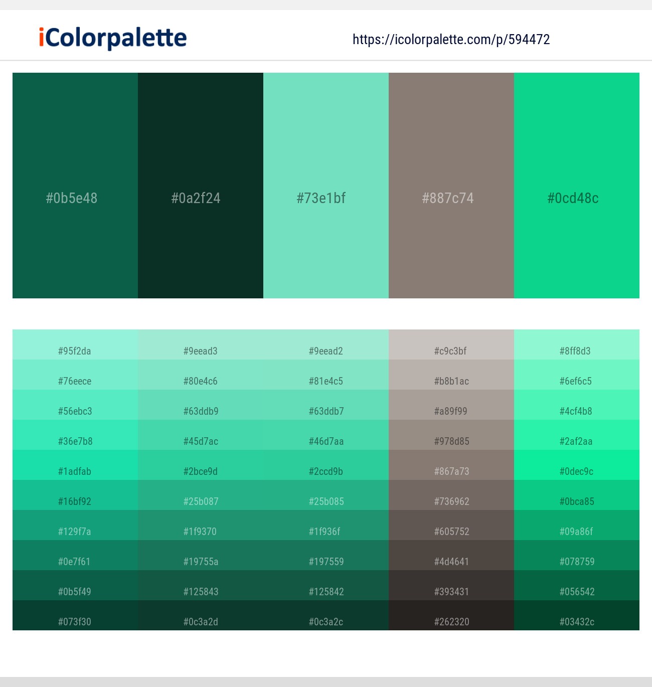 Eden – Bottle Green – Bermuda – Squirrel – Caribbean Green Color scheme