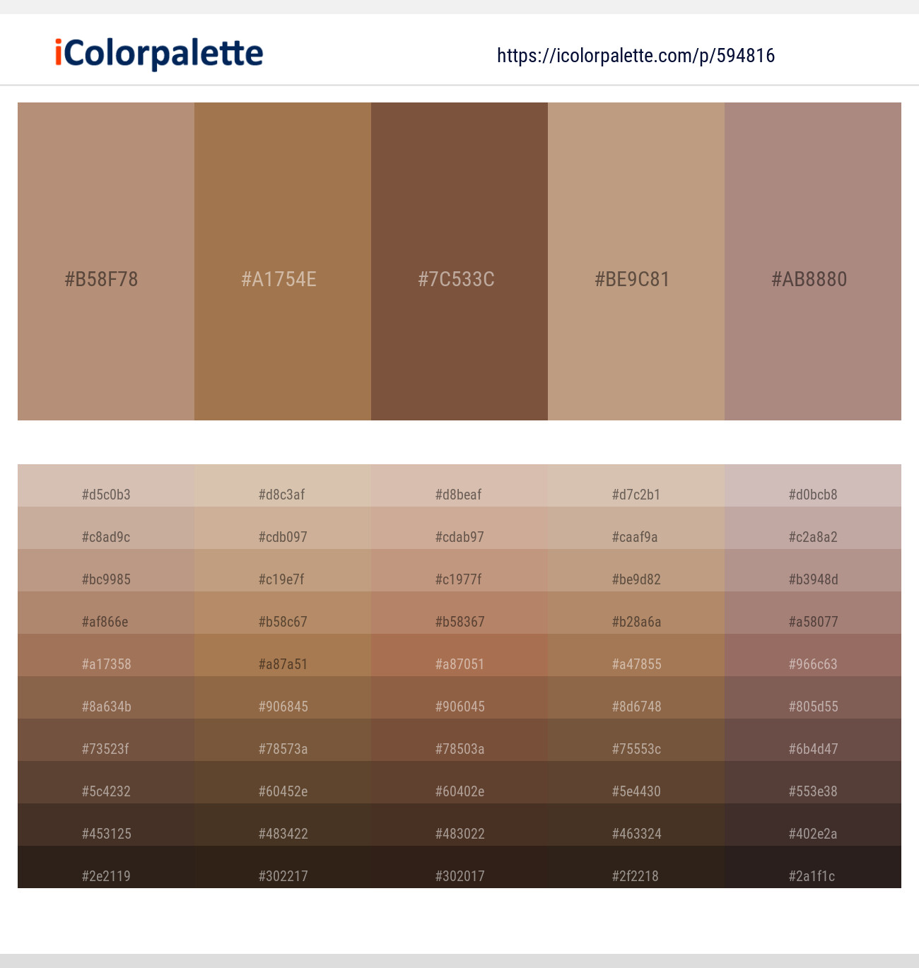 Sandrift – Cape Palliser – Spicy Mix – Mongoose – Pharlap Color scheme