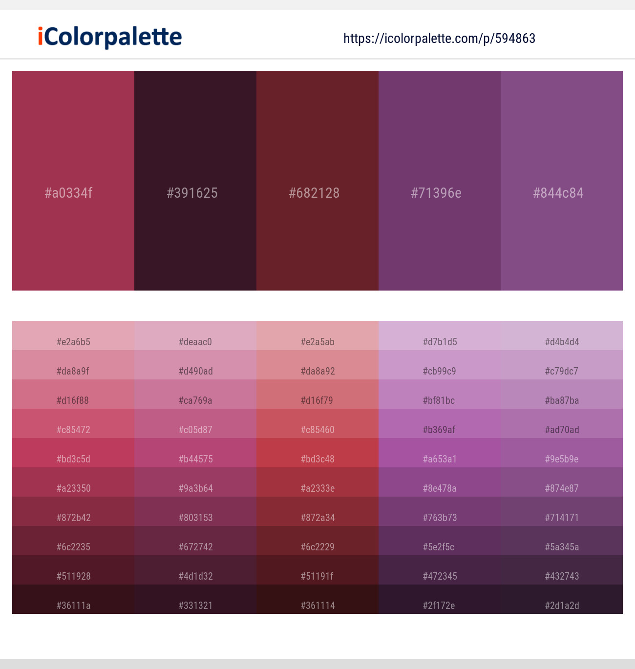 Night Shadz – Wine Berry – Buccaneer – Plum – Trendy Pink Color scheme