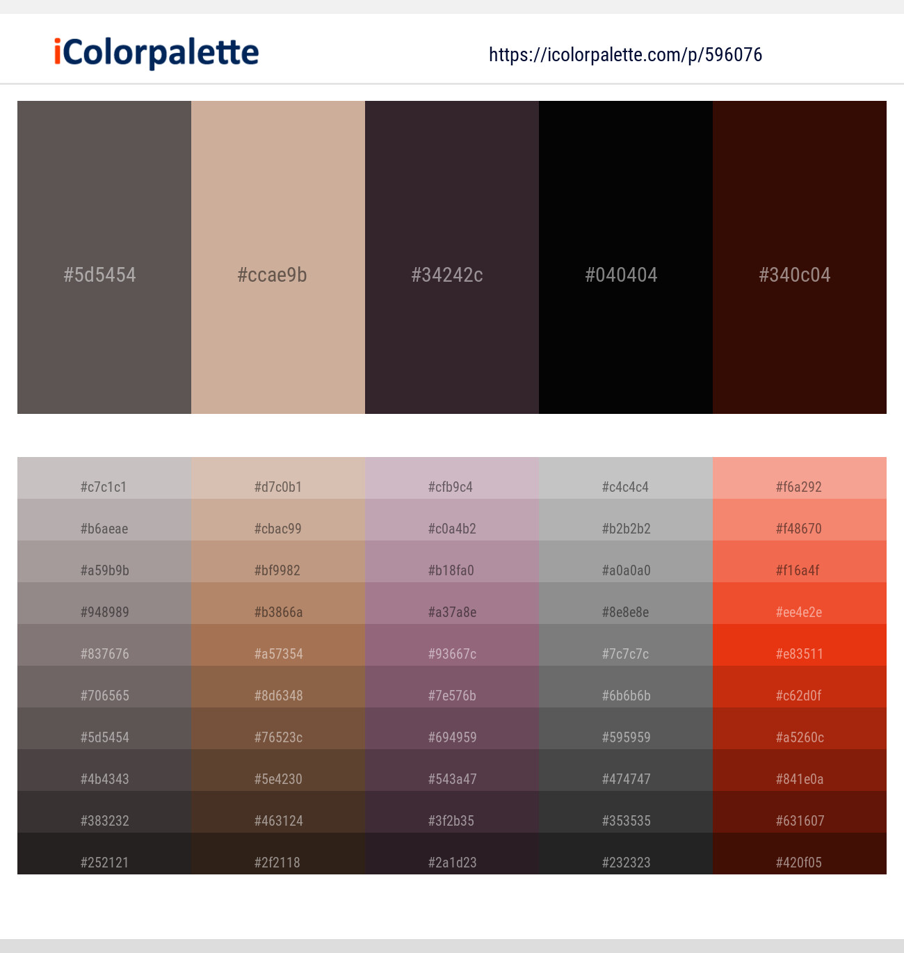 Dorado – Rodeo Dust – Thunder – Black – Rebel Color scheme