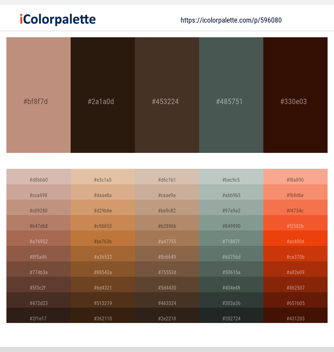 Brandy Rose – Crowshead – Iroko – Mineral Green – Bean   Color scheme