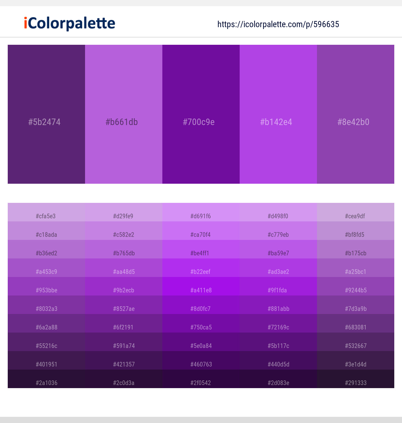 Honey Flower – Lavender – Purple – Amethyst – Studio Color scheme