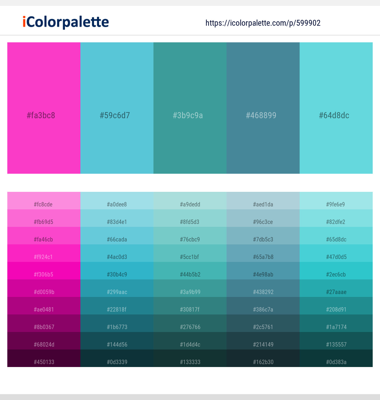 Razzle Dazzle Rose – Viking – Keppel – Wedgewood – Viking Color scheme