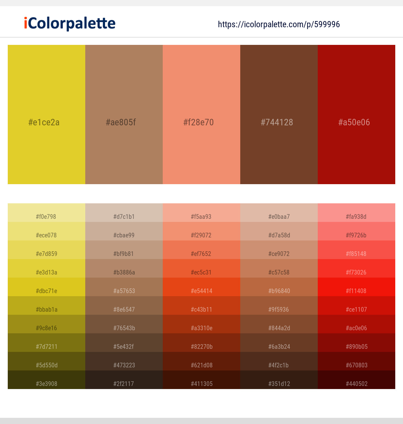Sunflower – Muesli – Apricot – Pickled Bean – Totem Pole Color scheme