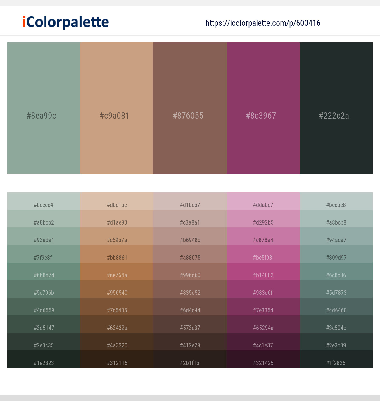 Pewter – Tan – Roman Coffee – Cannon Pink – Outer Space Color scheme